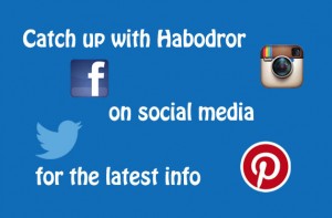 follow habo on social media